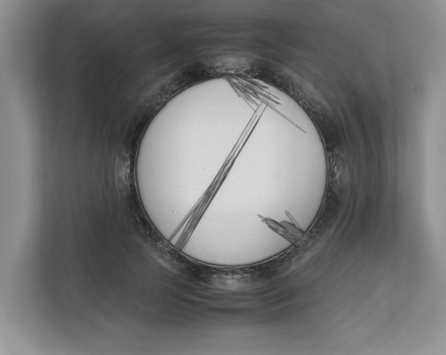 X0000111850745200908131438