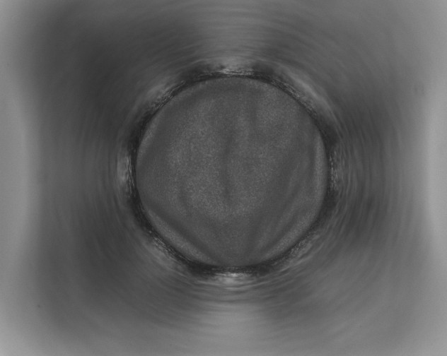 X0000111850748200908131438