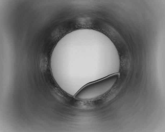 X0000111850752200908131439