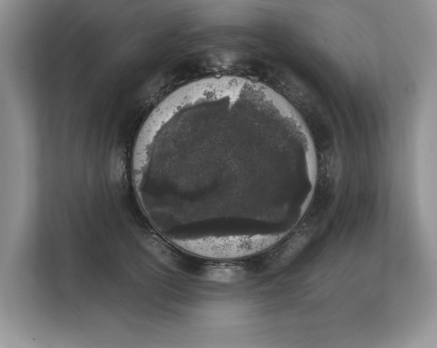 X0000111850754200908131439