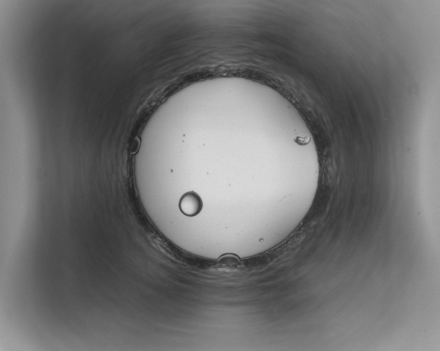 X0000111850756200908131439