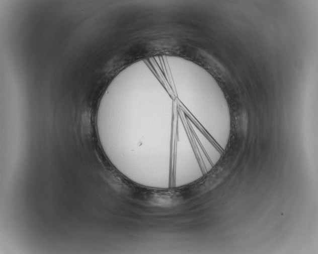 X0000111850757200908131439