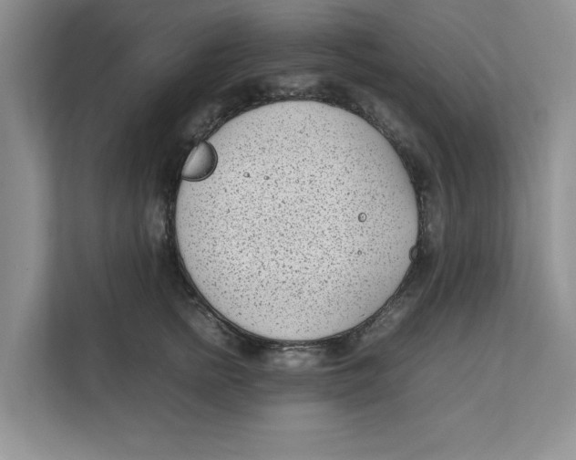 X0000111850758200908131439