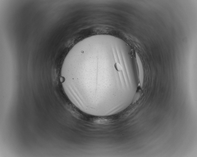 X0000111850759200908131439