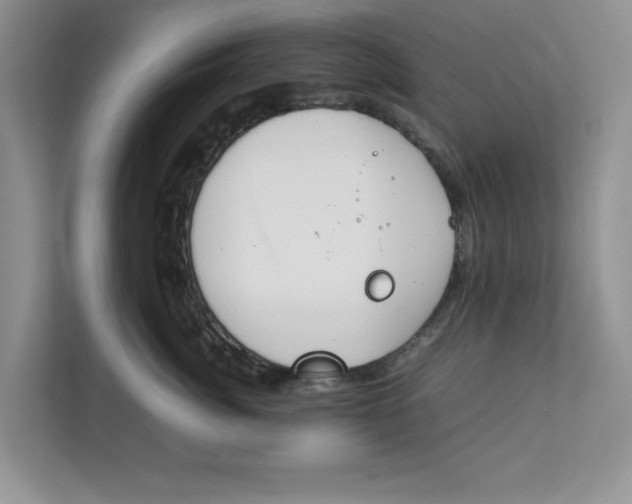 X0000111850764200908131439