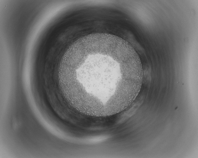 X0000111850765200908131439