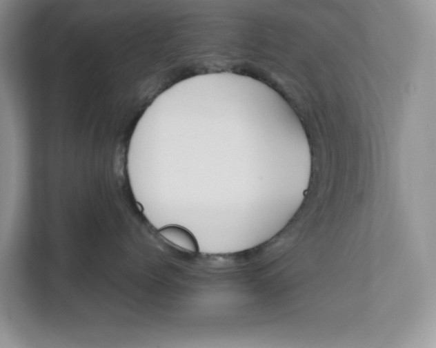 X0000111850768200908131439