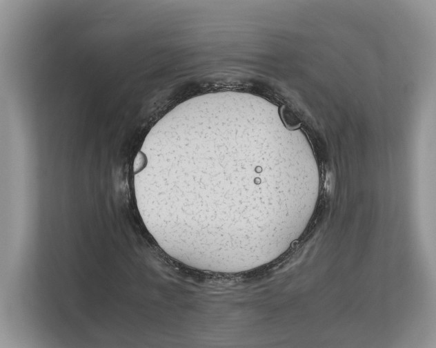 X0000111850771200908131438