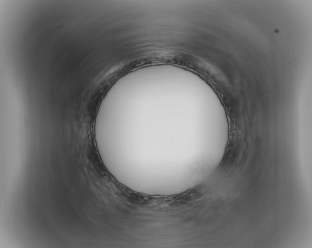 X0000111850773200908131438