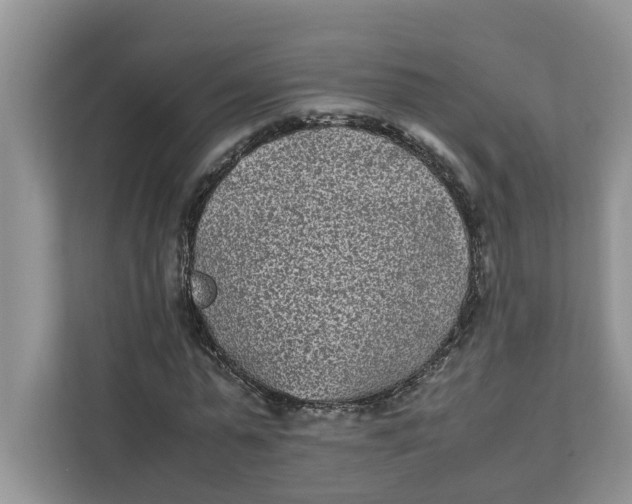 X0000111850775200908131438