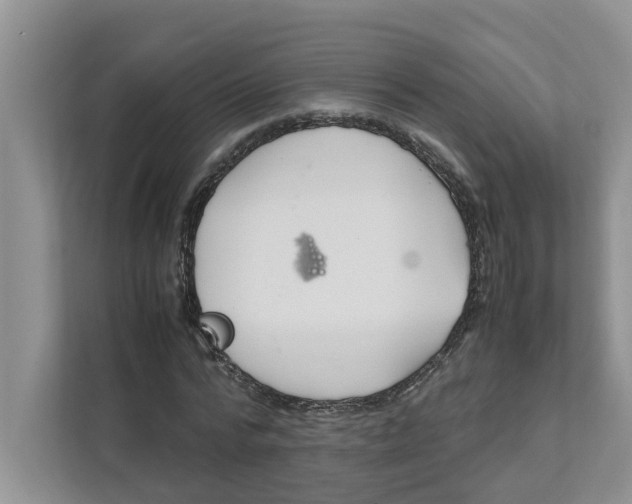 X0000111850776200908131438