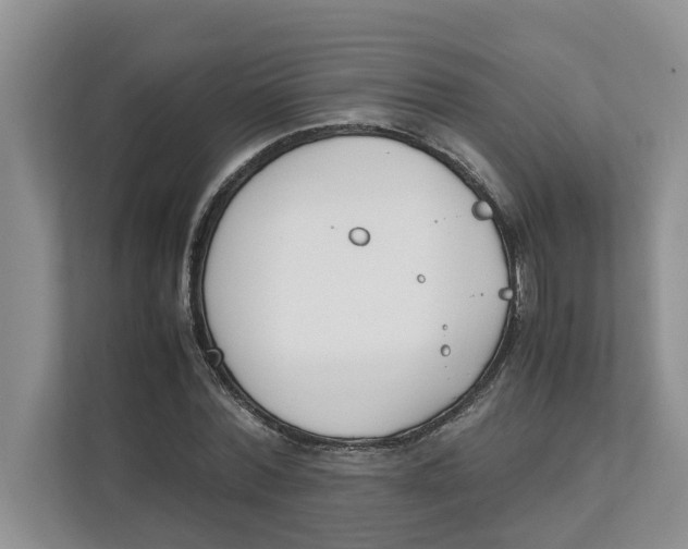 X0000111850780200908131438