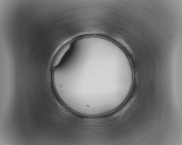 X0000111850781200908131438