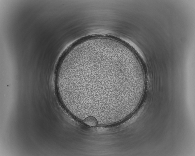 X0000111850783200908131438