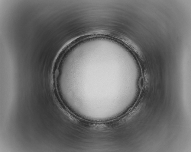 X0000111850784200908131438