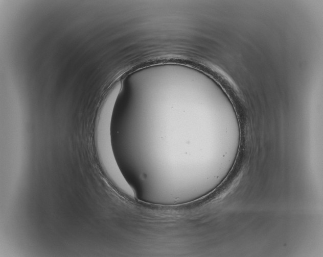 X0000111850785200908131438