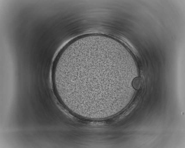 X0000111850788200908131438