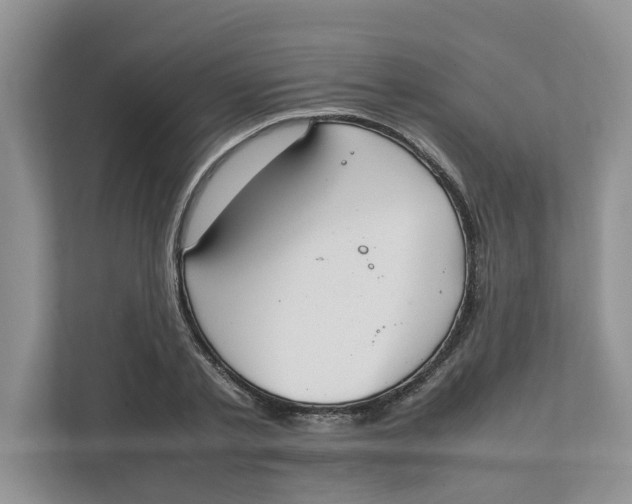 X0000111850789200908131438