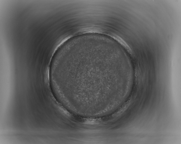 X0000111850790200908131438