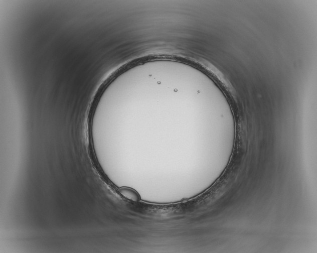 X0000111850791200908131438