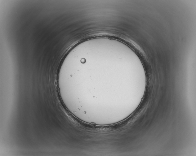 X0000111850793200908131438