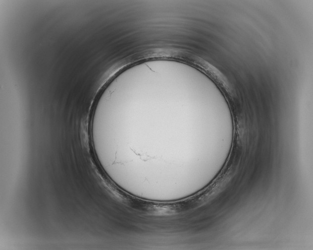 X0000111850794200908131438