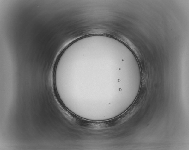 X0000111850795200908131438