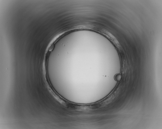 X0000111850796200908131438