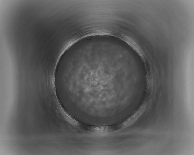 X0000111850797200908131438