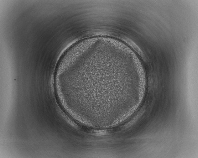 X0000111850798200908131438