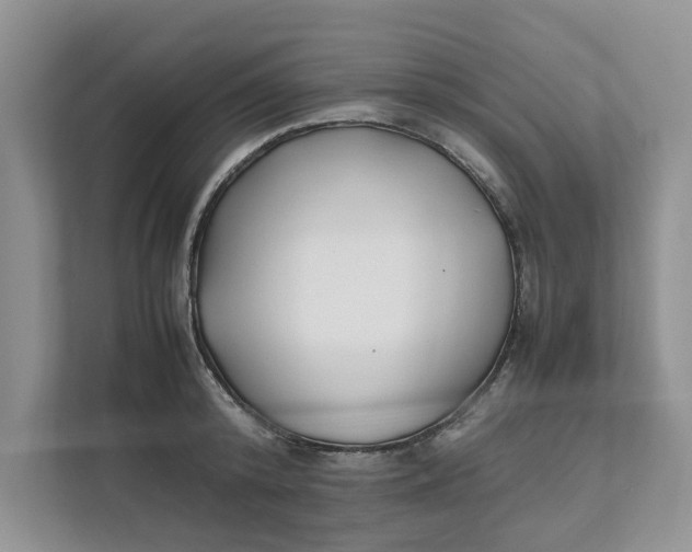 X0000111850800200908131438