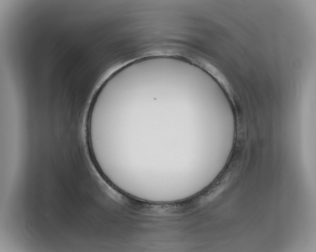 X0000111850803200908131438