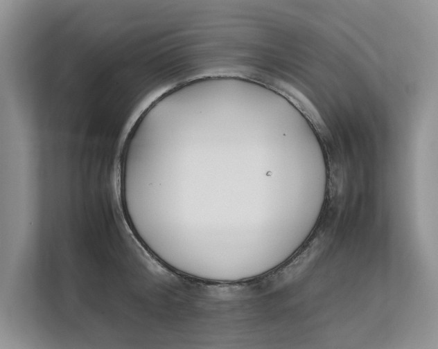 X0000111850804200908131438