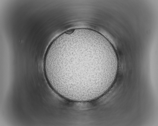 X0000111850805200908131438