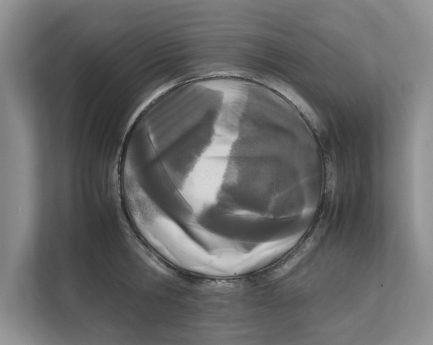 X0000111850806200908131438