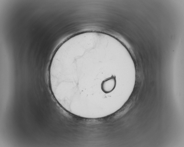 X0000111850807200908131438