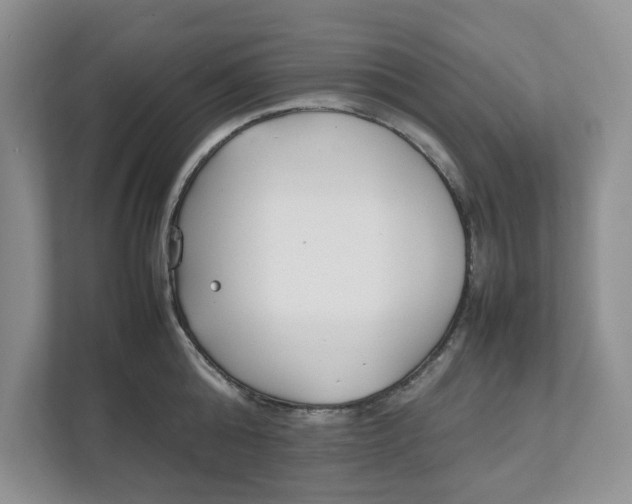 X0000111850808200908131438