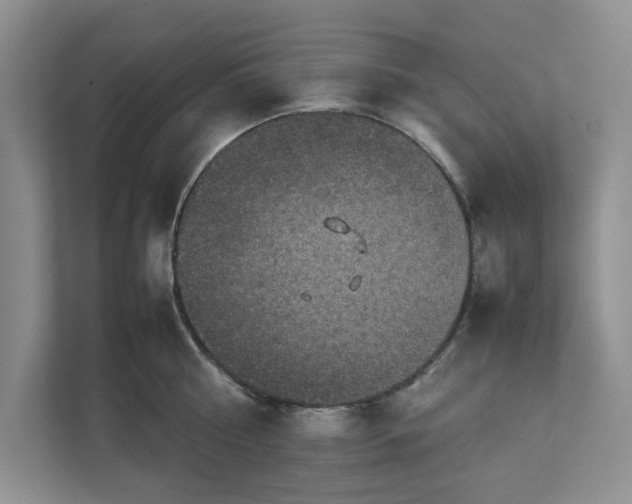 X0000111850810200908131438