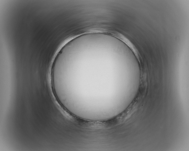 X0000111850811200908131438