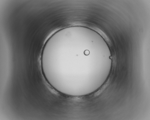 X0000111850814200908131437