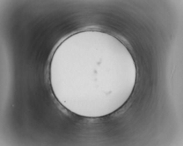 X0000111850816200908131437