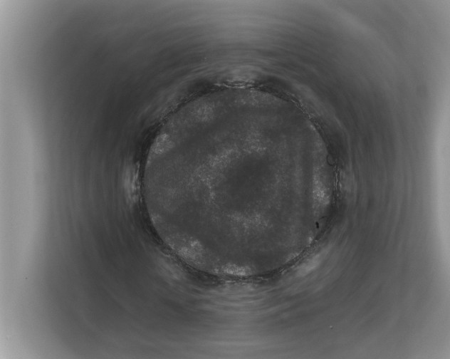 X0000111850818200908131437