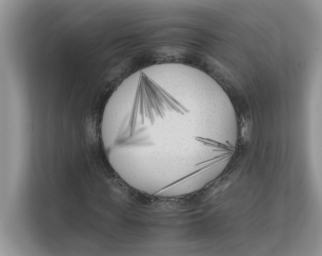 X0000111850819200908131437