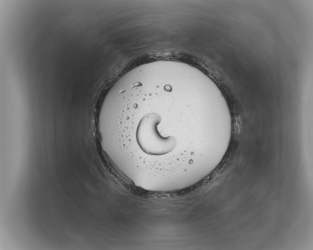 X0000111850820200908131437