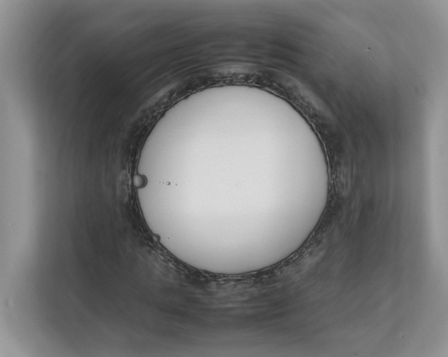 X0000111850821200908131437