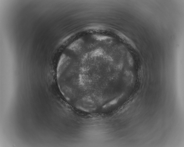 X0000111850822200908131437