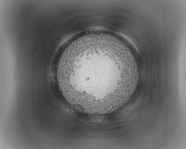 X0000111850823200908131437