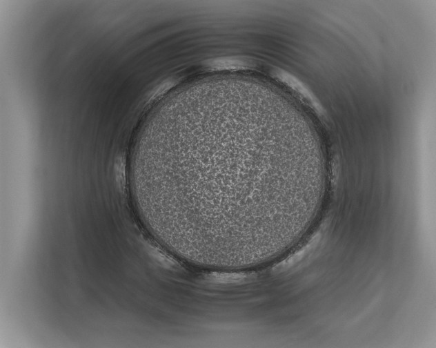 X0000111850825200908131437