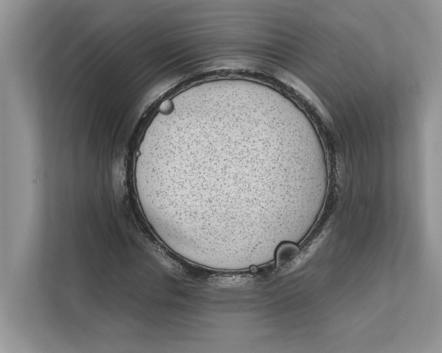 X0000111850826200908131437