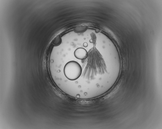 X0000111850827200908131437